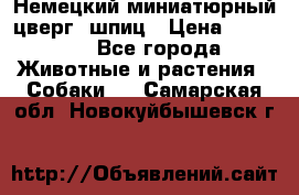 Немецкий миниатюрный(цверг) шпиц › Цена ­ 50 000 - Все города Животные и растения » Собаки   . Самарская обл.,Новокуйбышевск г.